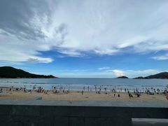 -南澳岛打卡果汁冰公司