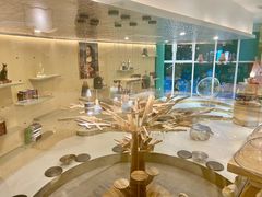 -飞行喵MR PILOT|猫舍·猫咖(静安大融城店)