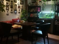 -百好乐宠物友好餐厅(朝外大街店)