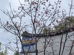 -乌山风景区
