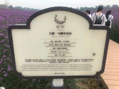 -紫颐香薰山谷景区
