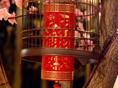 -金轩中餐厅 Jin Xuan(浦东丽思卡尔顿酒店)