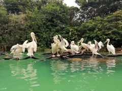 -珠海长隆海洋王国