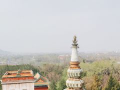 -颐和园