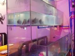 -二钳洞庭虾蟹·江湖菜(成都鹭岛店)