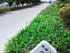 -腊山国家森林公园