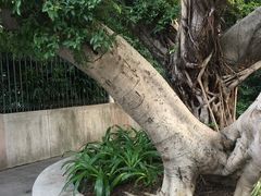 -晓港公园