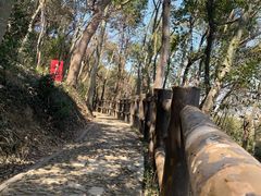 -上海佘山国家森林公园天马山园