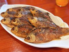 -独流饭店(静海区国土资源分局西)
