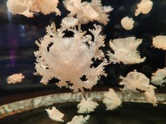 -多彩贵州城极地海洋世界