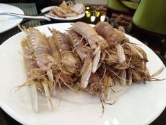 皮皮虾-金紫荆美食自助餐厅