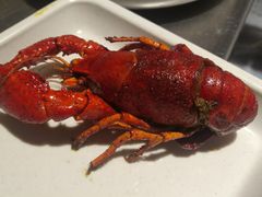 -龙巢盱眙龙虾·牛蛙·烧烤宵夜(八卦岭店)
