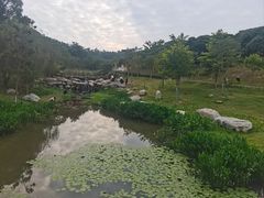 -东莞植物园