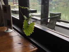 -日出青木·杭帮菜名店
