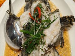 -鹭岛新泉客家菜·海鲜·融合菜(莲前店)