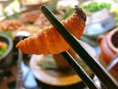 -昆虫窝子·特色云南菜(拓东路总店)