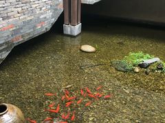 -几荷·恰似故人来(秀水广场店)