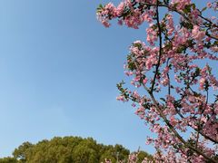 -黄兴公园