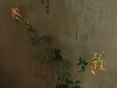-陶享时光西餐·下午茶(信河街店)