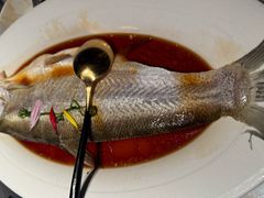 -醉庐·新上海菜(南京西路店)