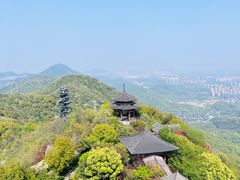 -杭州半山国家森林公园