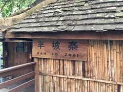 -西双版纳原始森林公园
