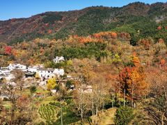 -塔川景区