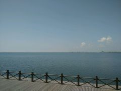 -碧海金沙