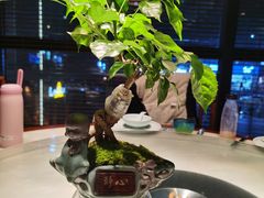 -佬麻雀·剁椒鱼头(京基KK One店)