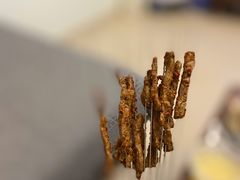 秦川黄牛肋排肉筋-叁宝烤肉• 西安烧烤(太乙路店)