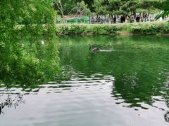 -长白岛森林公园