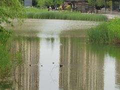 -昆山城市生态森林公园