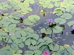 -广东花都湖国家湿地公园