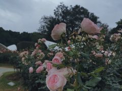 -人民公园(罗湖区)