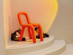 -More Fun猫咖 二十只万元加菲主题
