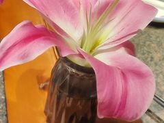 -真地道京味府·鲜橙烤鸭·北京菜(朝外大街东大桥店)