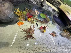 -上海海洋水族馆