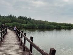 -西青郊野公园