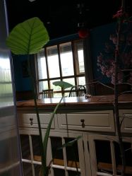 -星豆豆儿童摄影(南郊太白南路店)