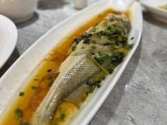 -老绍兴养和饭店(向阳不夜城店)
