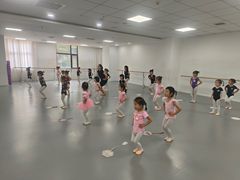 -西安小天鹅艺术团(金花路校区)