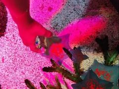 -沈阳海洋探索中心