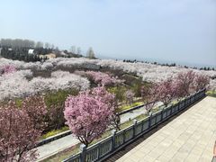 -古柏渡飞黄旅游区