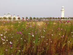-呼兰河口湿地公园