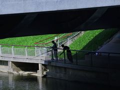 -福田红树林生态公园