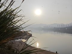 -金海湾滨江公园