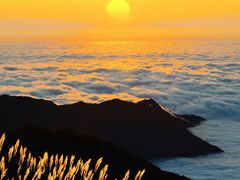 -萍乡武功山风景名胜区