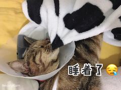 -中农大我爱我爱动物医院(甜水园店)