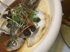 -陶缘一号·四季缘·老字号顺德菜·户外婚礼家宴(西滘店)