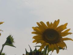 -同里国家湿地公园